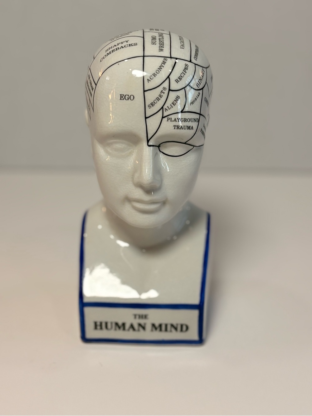 🧠 Vintage Accoutrements Human Mind Ceramic Bust – 1999 Phrenology Psychology